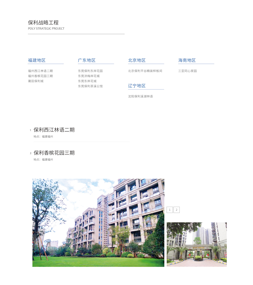 保利战略.jpg